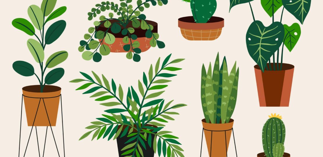 best-pet-friendly-plants