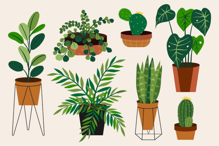 best-pet-friendly-plants-for-pet-owners