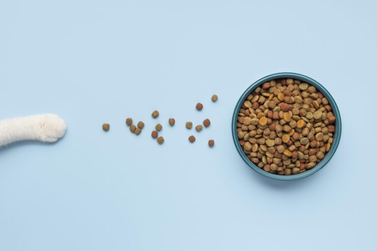 air-dried-cat-food-in-a-bowl